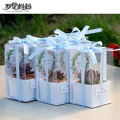 伴手禮 饋贈(zèng)的藝術(shù)與心意